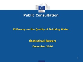 Bild der ersten Seite des Ergebnisberichtes der EU-Umfrage zum Thema Trinkwasser.