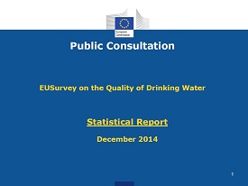 EUSurvey Statistical Report Bild der ersten Seite des Ergebnisberichtes der EU-Umfrage zum Thema Trinkwasser.